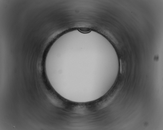 X0000102000252200808081707