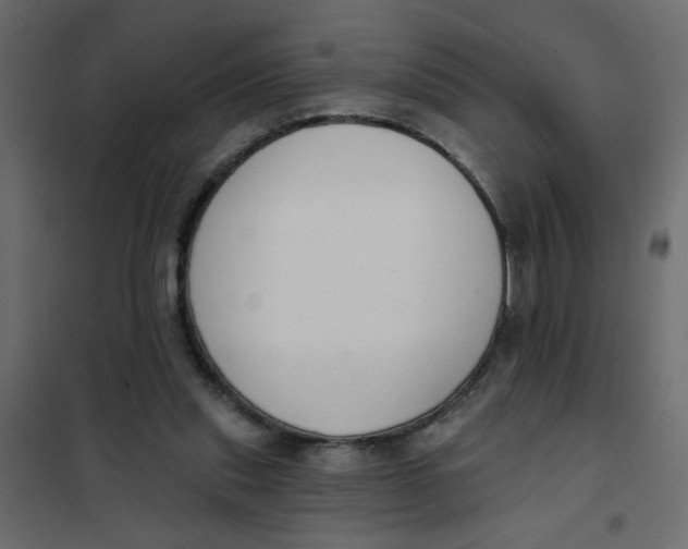 X0000102000253200808081707