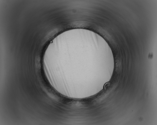 X0000102000254200808081707