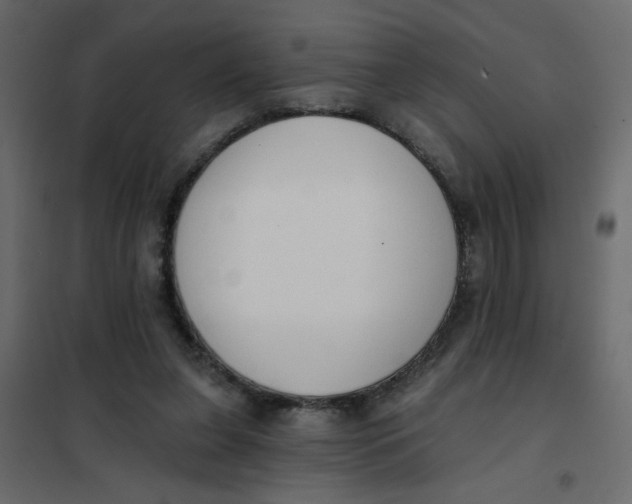 X0000102000255200808081707