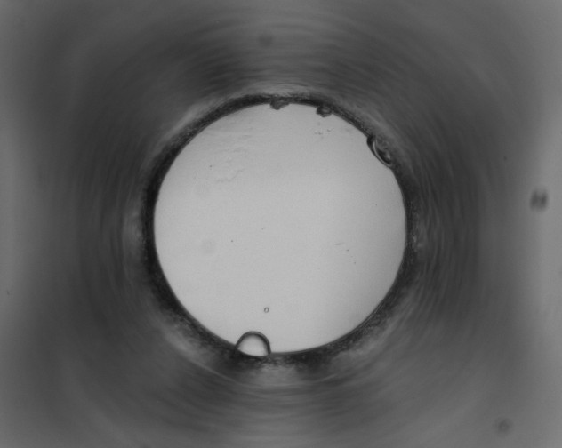 X0000102000256200808081707