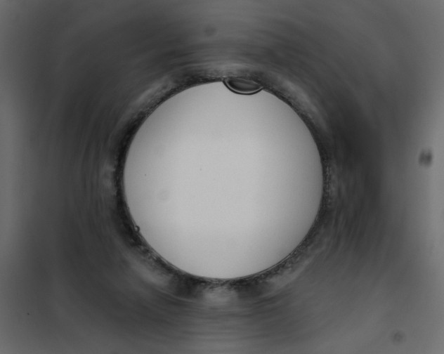 X0000102000258200808081707