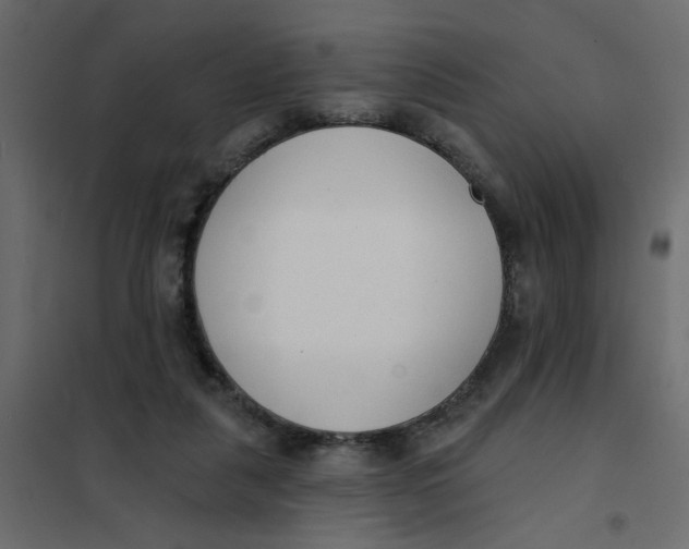 X0000102000259200808081707