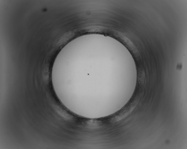 X0000102000261200808081707