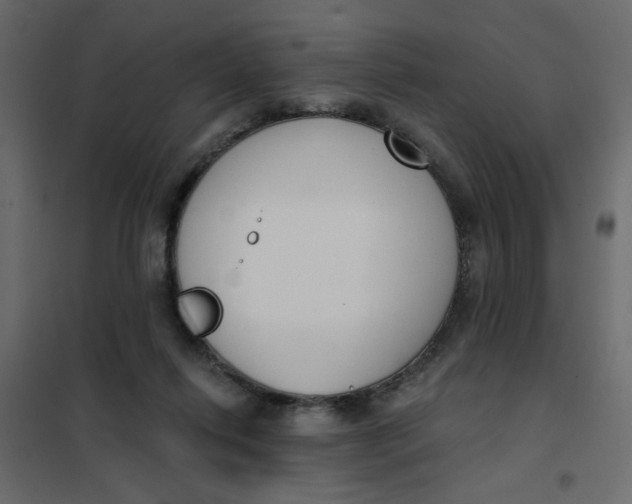 X0000102000262200808081707