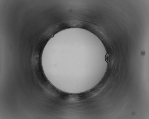 X0000102000263200808081707