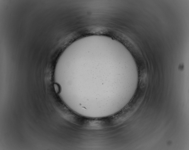 X0000102000268200808081707