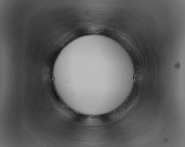 X0000102000270200808081707