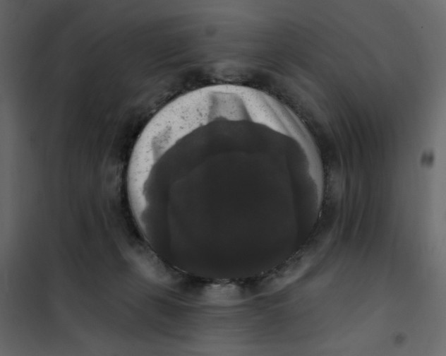 X0000102000271200808081707