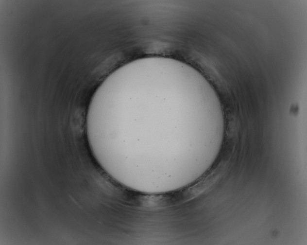 X0000102000273200808081707