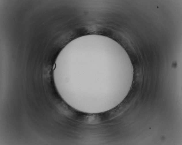 X0000102000275200808081707