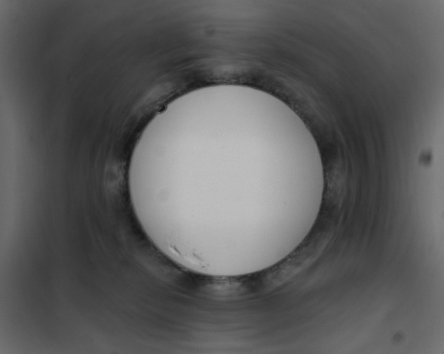 X0000102000278200808081707