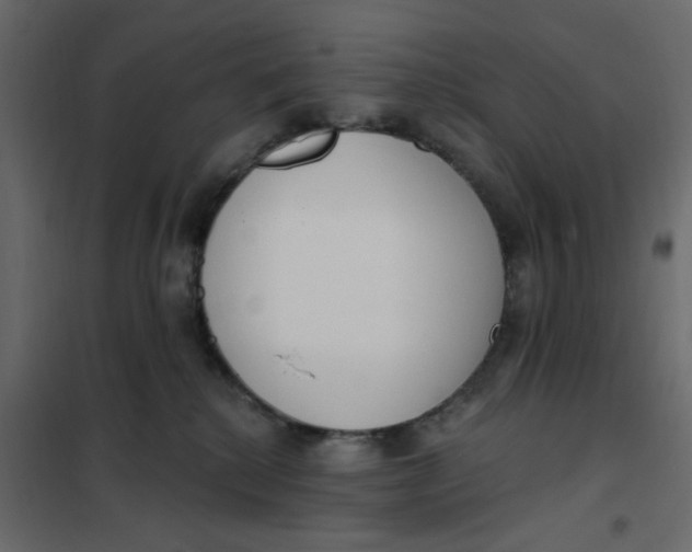 X0000102000280200808081707