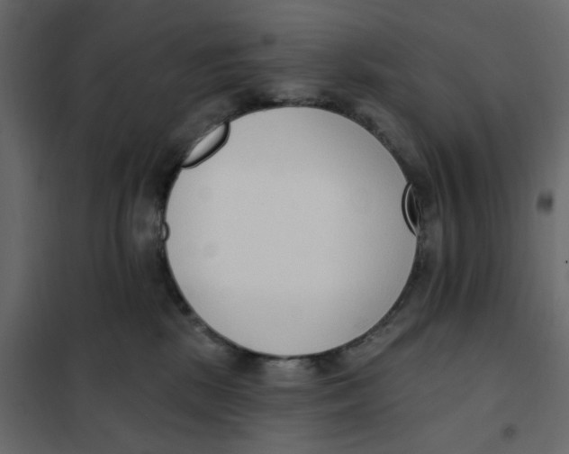 X0000102000281200808081707