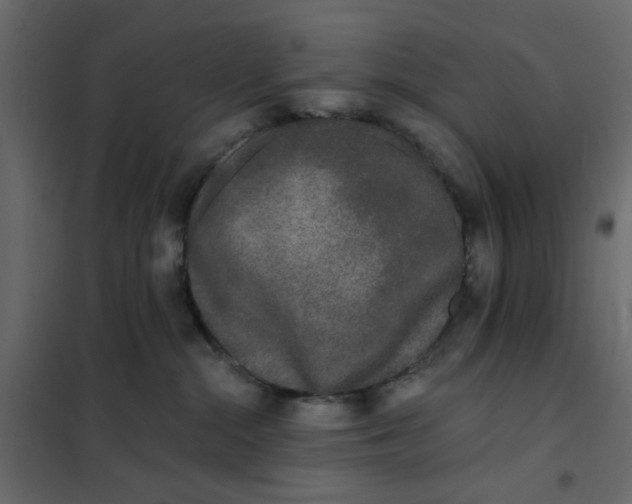 X0000102000284200808081707