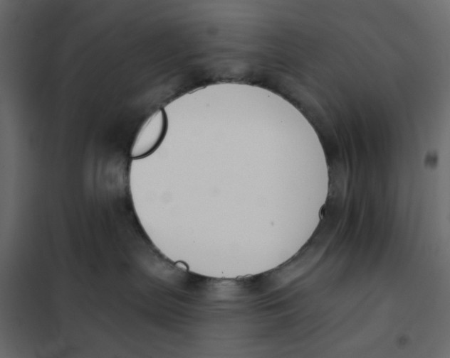 X0000102000287200808081708