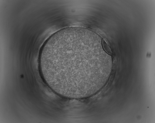 X0000102000290200808081707