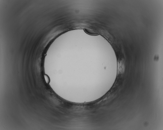 X0000102000291200808081707