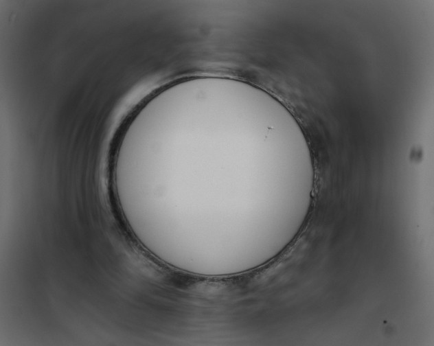 X0000102000294200808081707