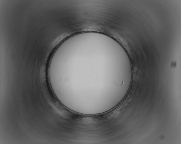 X0000102000298200808081707