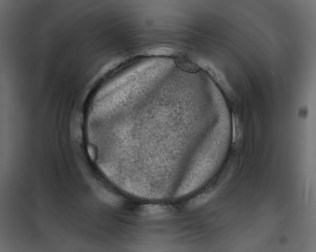 X0000102000300200808081707