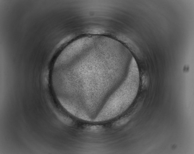 X0000102000304200808081707