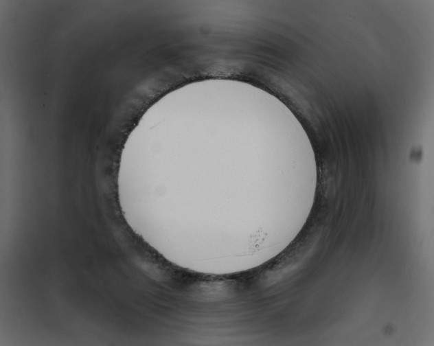 X0000102000307200808081707