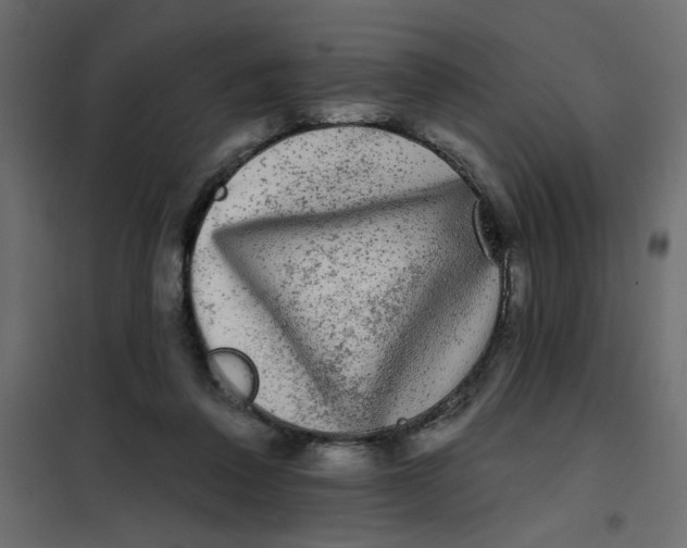 X0000102000308200808081706