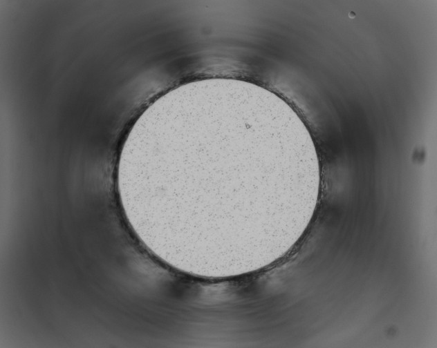 X0000102000309200808081706