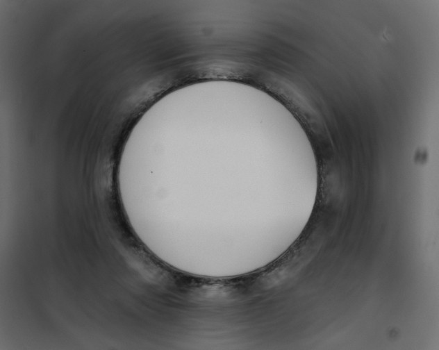 X0000102000310200808081706