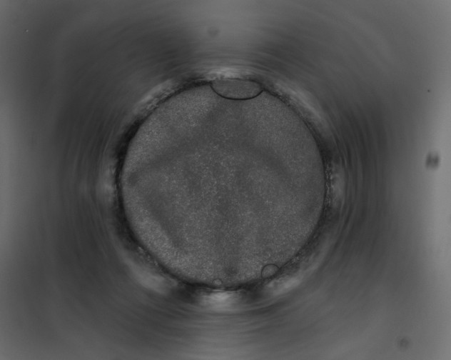 X0000102000312200808081706