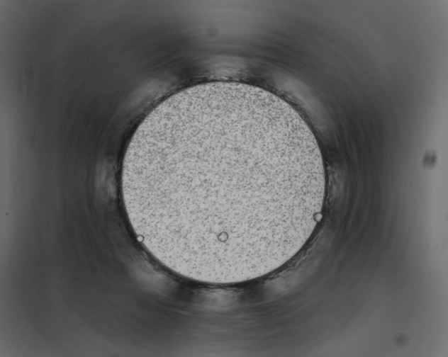 X0000102000313200808081706