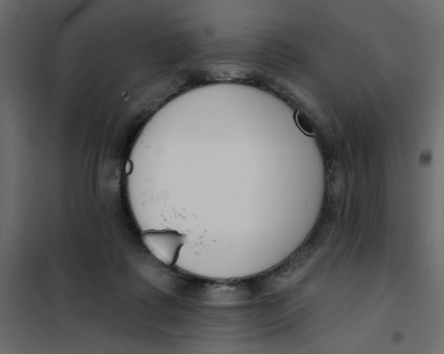 X0000102000315200808081706