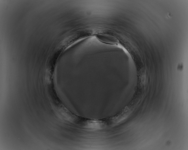 X0000102000316200808081706