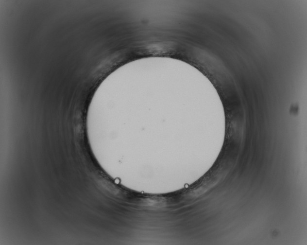 X0000102000317200808081706