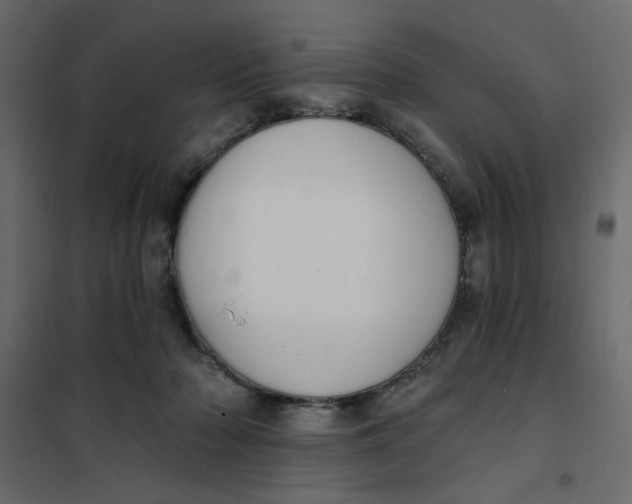 X0000102000318200808081706