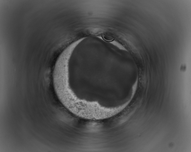 X0000102000319200808081706