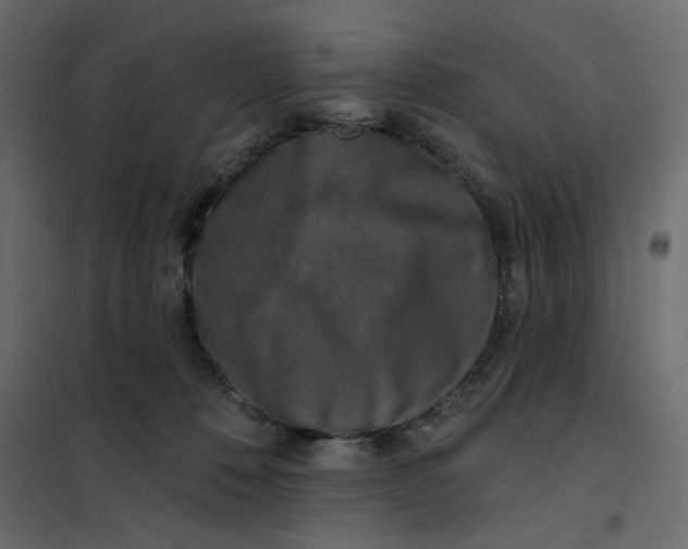 X0000102000320200808081706