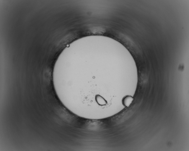 X0000102000321200808081706