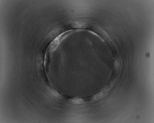 X0000102000322200808081706