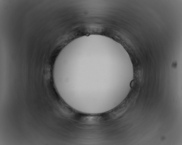 X0000102000323200808081706