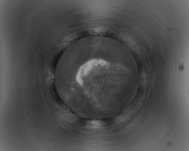 X0000102000324200808081706