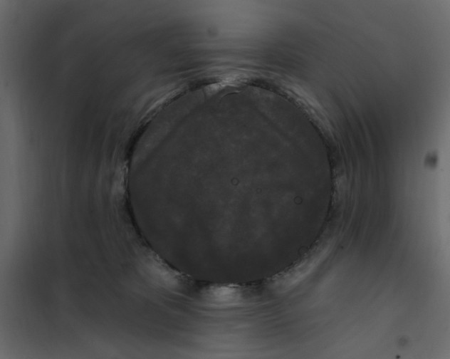 X0000102000325200808081706