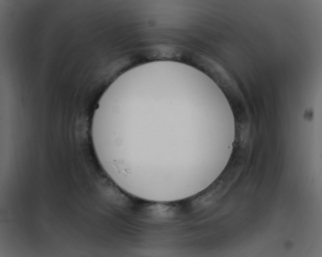 X0000102000326200808081706