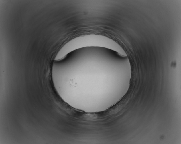 X0000102000328200808081706