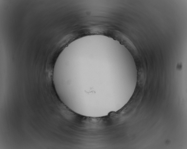 X0000102000329200808081706