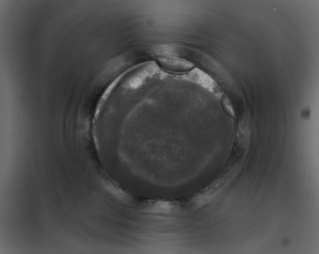 X0000102000330200808081706