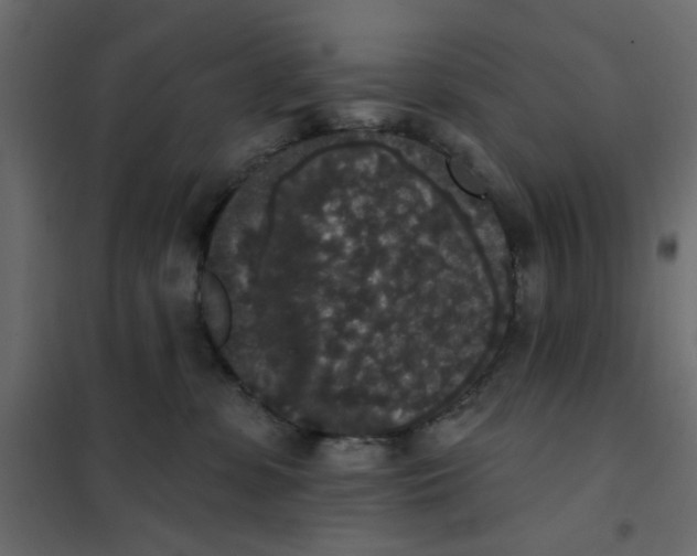 X0000102000331200808081706