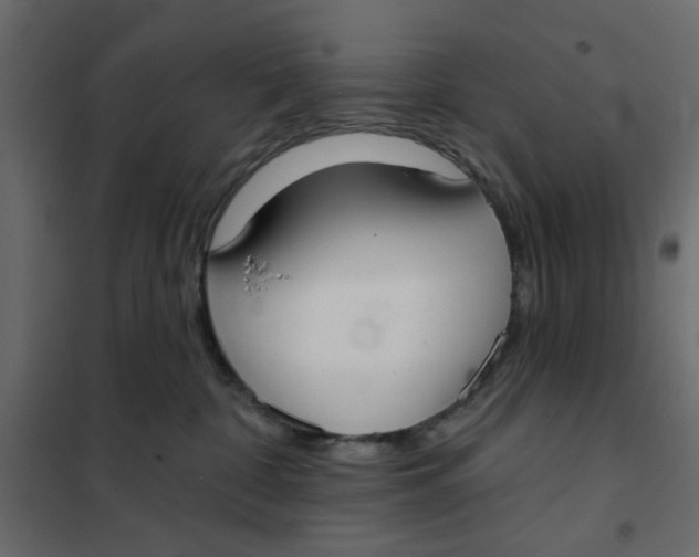 X0000102000332200808081706