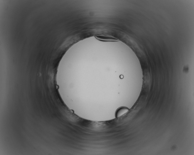 X0000102000333200808081706